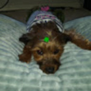 Meet your Posher, Cecil